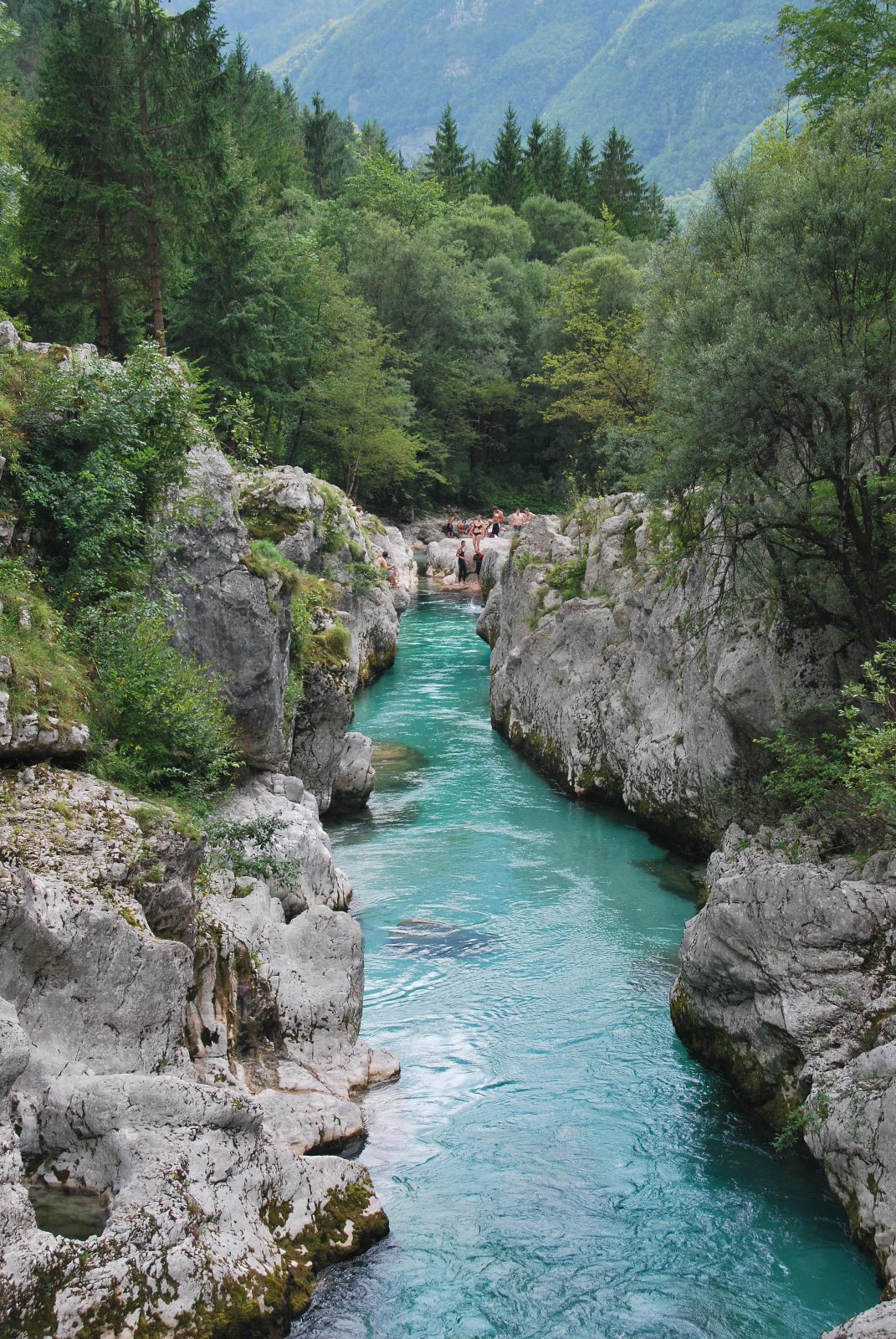 Soča
